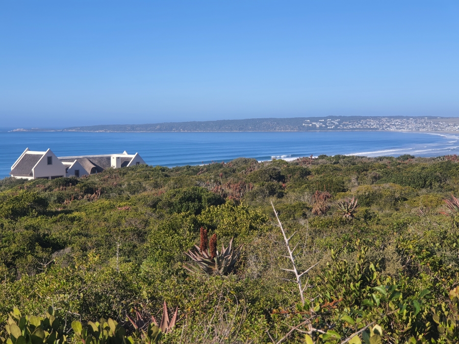 0 Bedroom Property for Sale in Boggomsbaai Western Cape